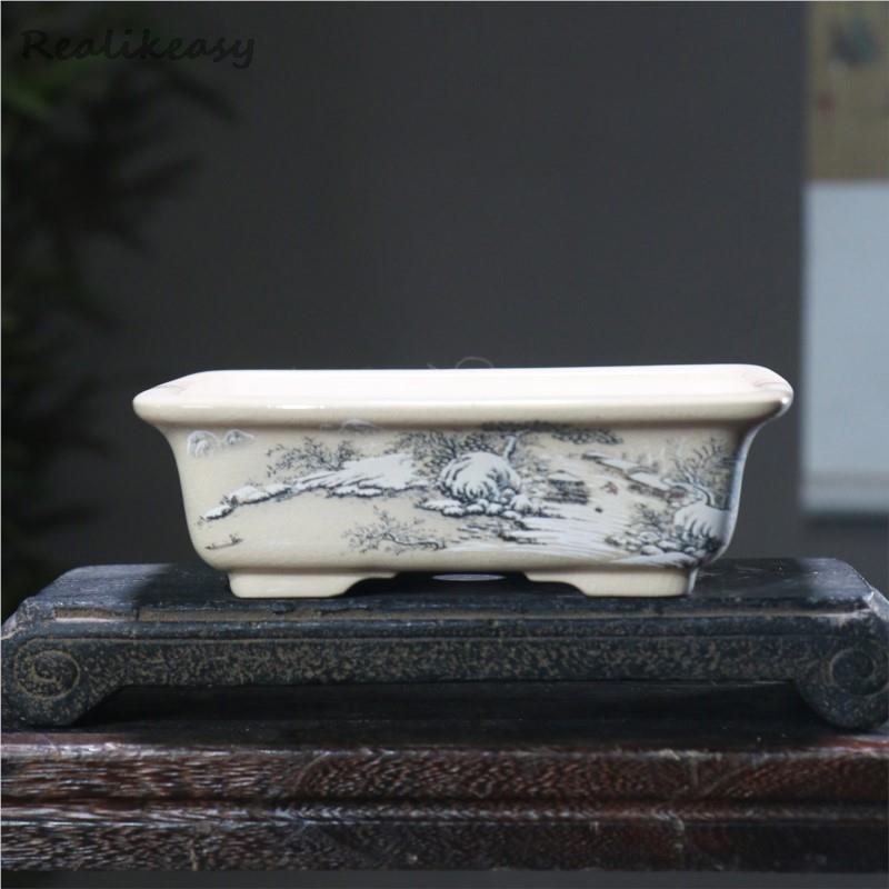 Japanese Garden Bonsai - 6 Kích Thước Cát Tím Hoa