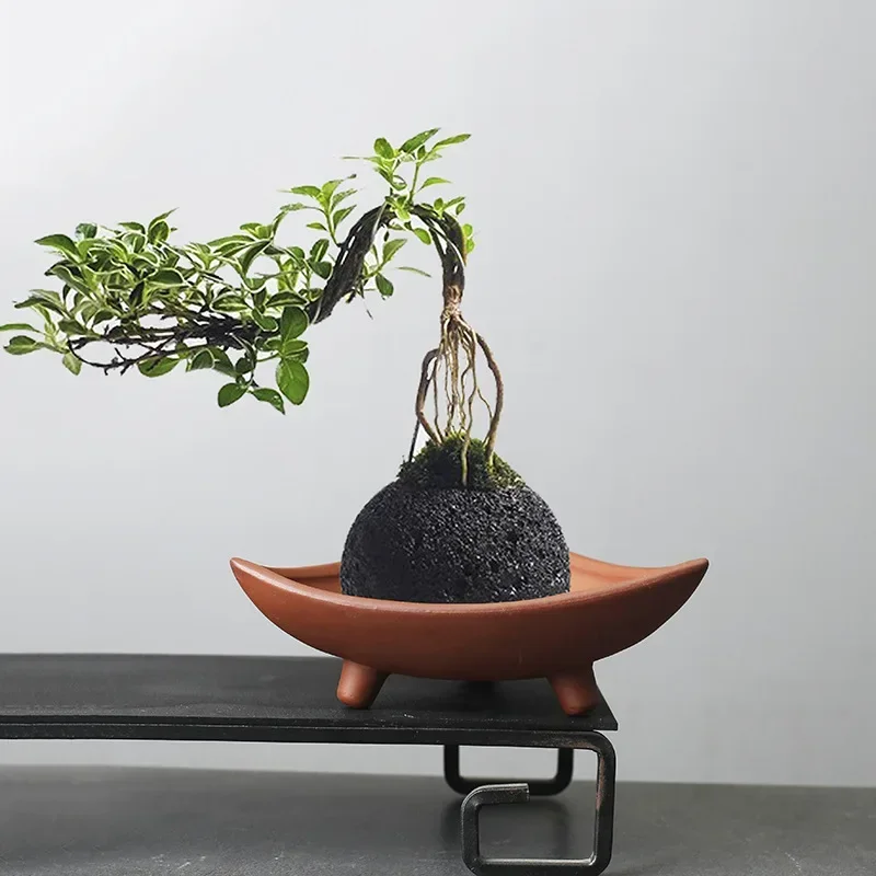 Japanese Garden Bonsai - Personalized Ceramic Flower Pots for Bamboo