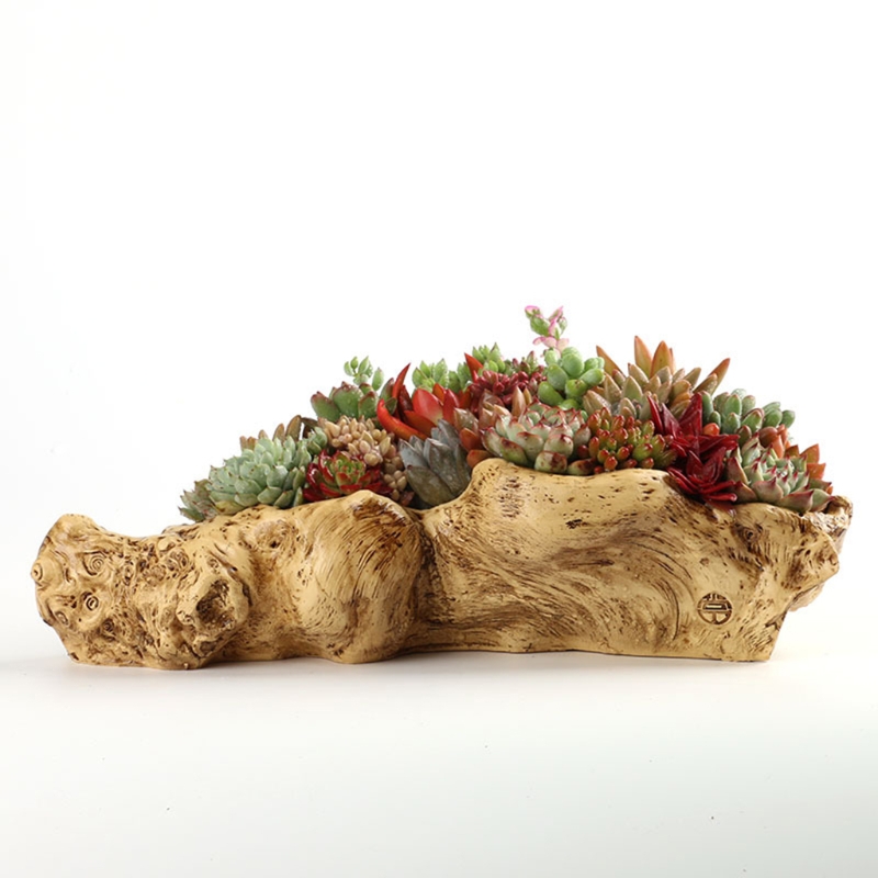 Mục vụ Phong Cách Retro Phong  - đánh giá và giá Japanese Garden Bonsai