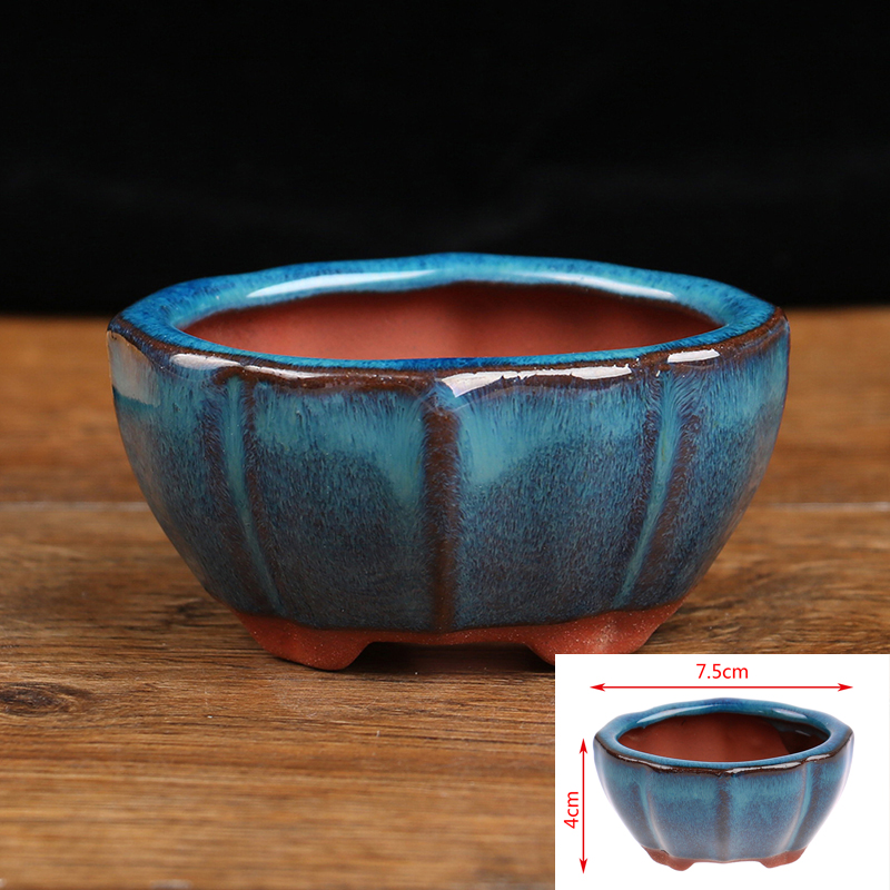 1pcs Bonsai Mini Ceramic Flowe - đánh giá và giá Japanese Garden Bonsai