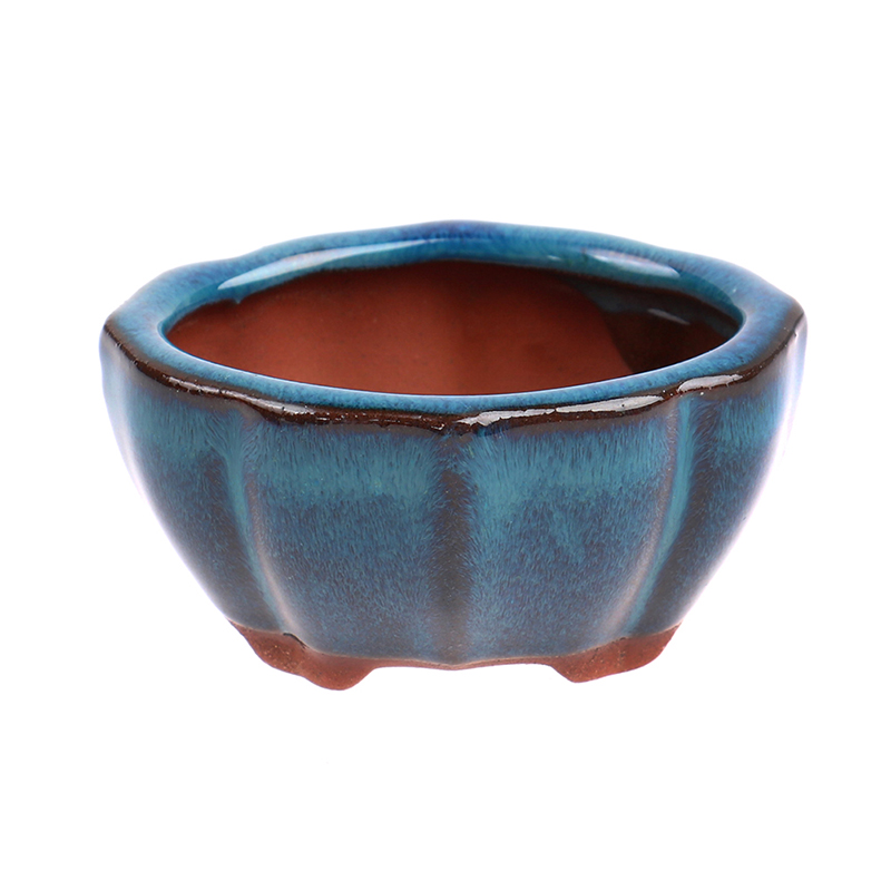 1pcs Bonsai Mini Ceramic Flowe - đánh giá và giá Japanese Garden Bonsai
