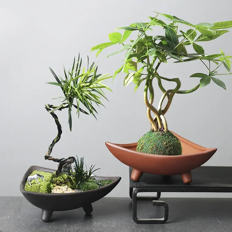 Personalized Ceramic Flower Po - đánh giá và giá Japanese Garden Bonsai