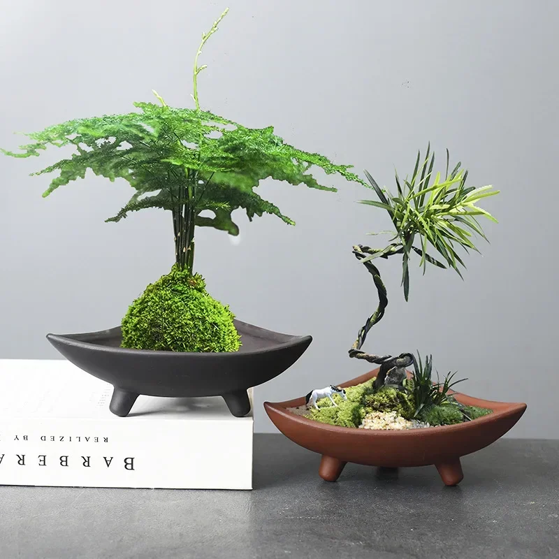 Personalized Ceramic Flower Po - đánh giá và giá Japanese Garden Bonsai