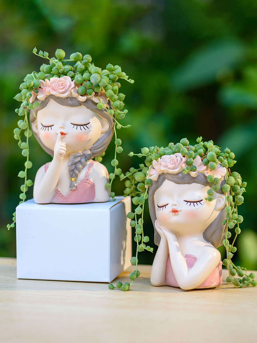 Fairy Succulents Planters Flow - đánh giá và giá Japanese Garden Bonsai