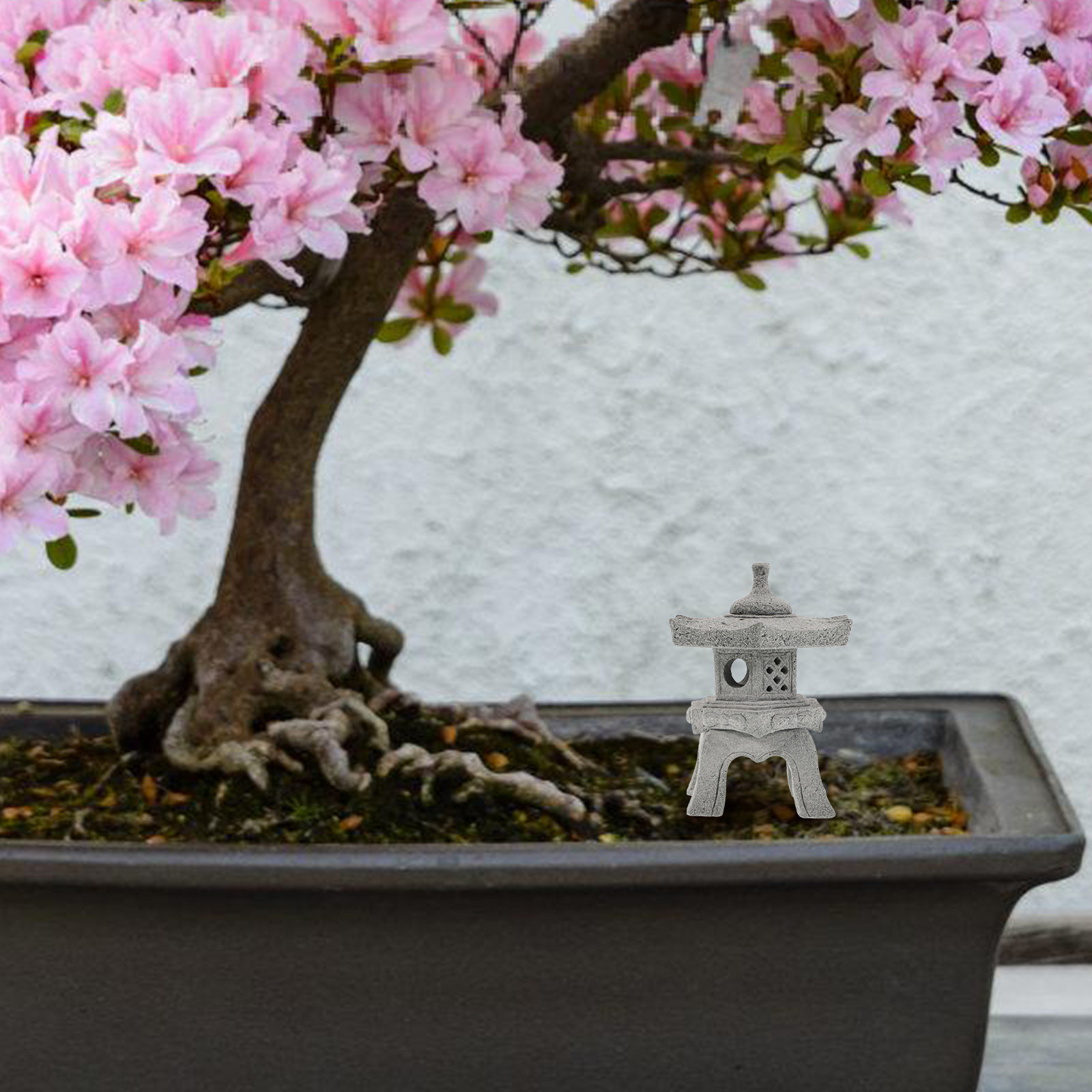 1Set Exquisitely Crafted Mini  - đánh giá và giá Japanese Garden Bonsai